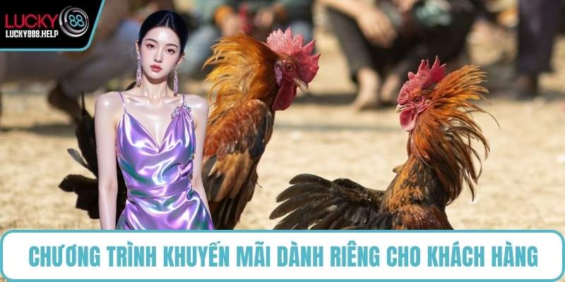 Chương trình ưu đãi khuyến mãi cực kỳ thu hút