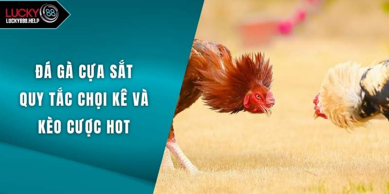 Đá Gà Cựa Sắt