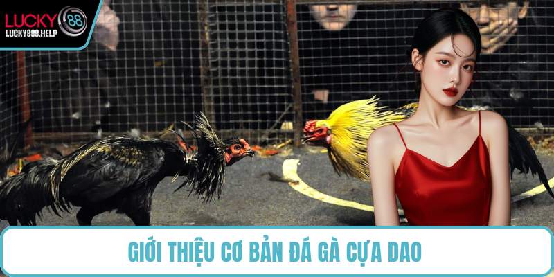 Giới thiệu cơ bản đá gà cựa dao 