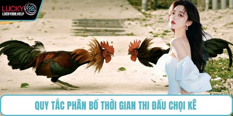 Quy tắc phân bổ thời gian thi đấu chọi kê 