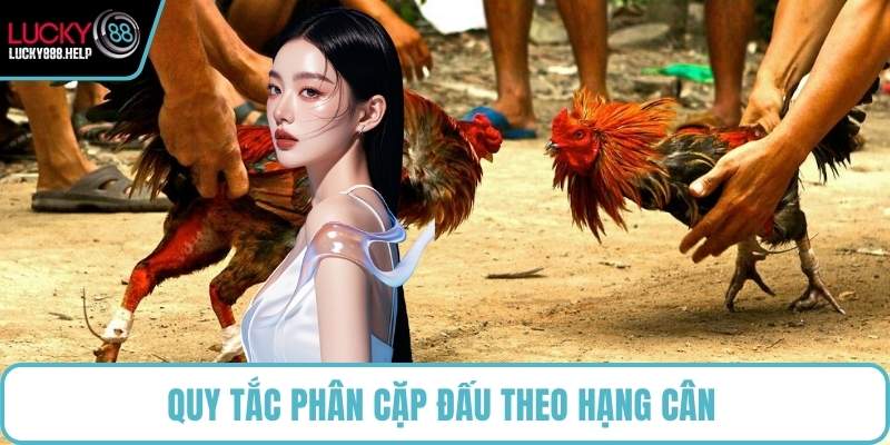 Quy tắc phân cặp đấu theo hạng cân