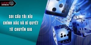 Soi Cầu Tài Xỉu