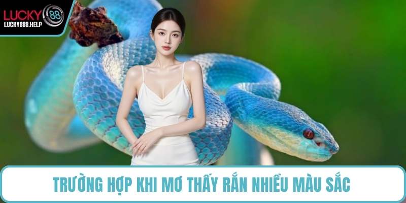 Trường hợp khi mơ thấy rắn nhiều màu sắc